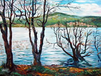 Abant gölü. Duralit üzerine yağlıboya
40x50cm. 
Tuzla Belediyesi Sanat Galerisi koleksiyonu